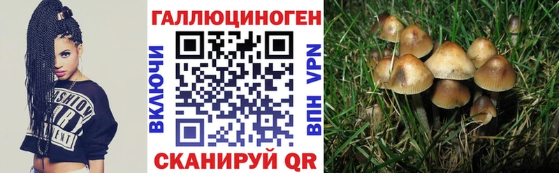 Псилоцибиновые грибы ЛСД  купить наркотики цена  Сорочинск 